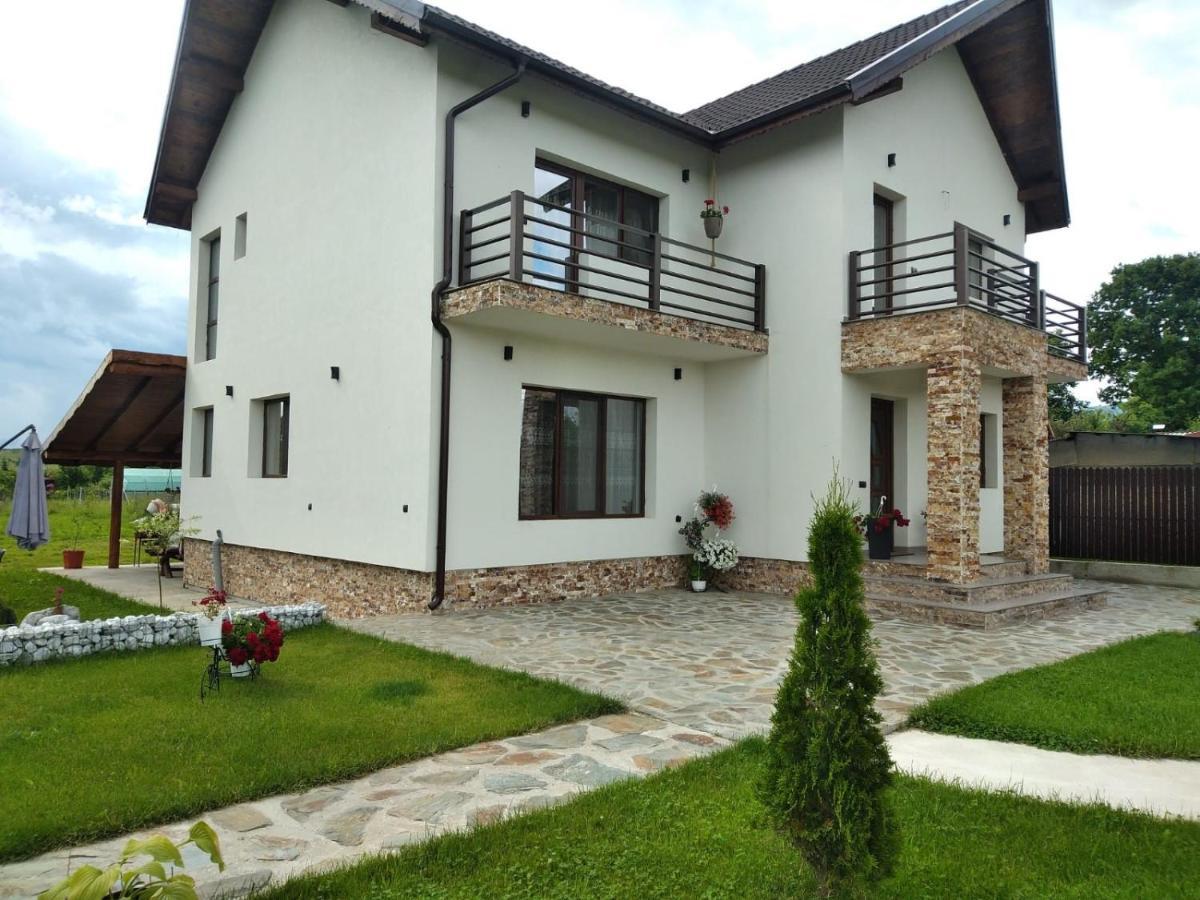 Pensiunea Casa Nusa Baia de Fier Exterior photo