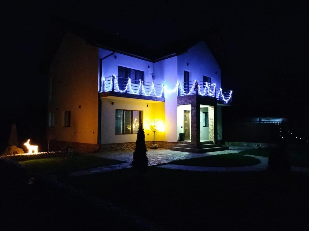 Pensiunea Casa Nusa Baia de Fier Exterior photo